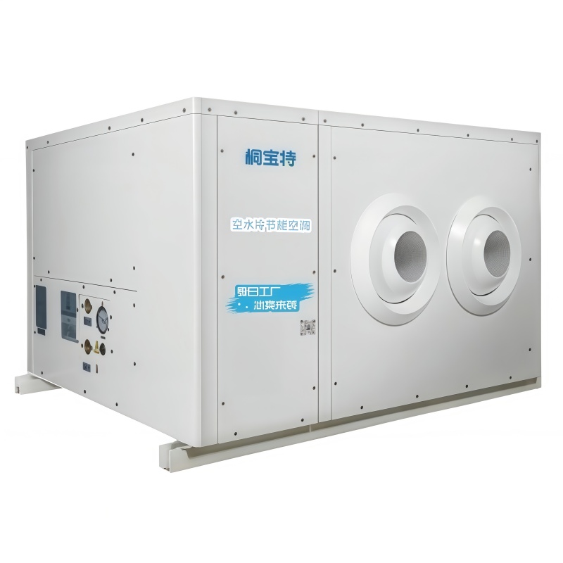 Effiziente energiesparende Industrieklimaanlage Effiziente energiesparende Industrieklimaanlage